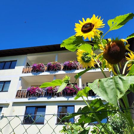 Gaestehaus Herma ラムサウ・アム・ダッハシュタイン エクステリア 写真